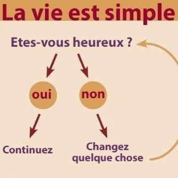 9. LA VIE EST SIMPLE ...